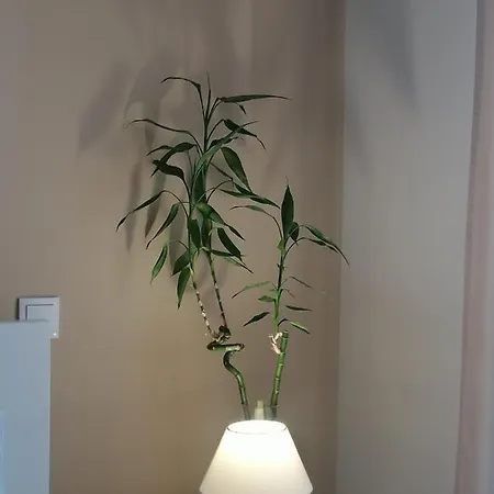 Casa Da Valentina 77856al 3* Faro